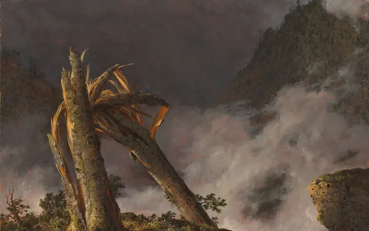 Dominating this composition is a lightning-blasted tree embodying nature's awe-inspiring power and endless cycle of life and death. A popular motif because of these associations, the blasted tree was favored by many landscape painters like Church, who prominently featured it here.