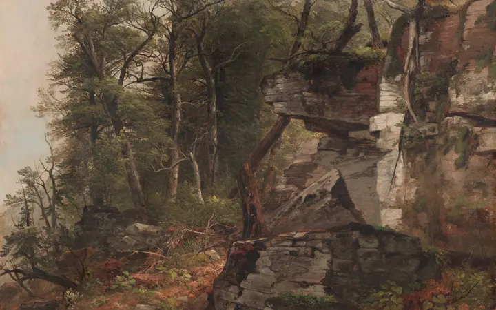 Ulje na platnu prikazuje stabla na kamenitom terenu u prirodnim zelenim i smeđim tonovima, s naglaskom na teksturu. oil on canvas — Asher B. Durand, 1849.