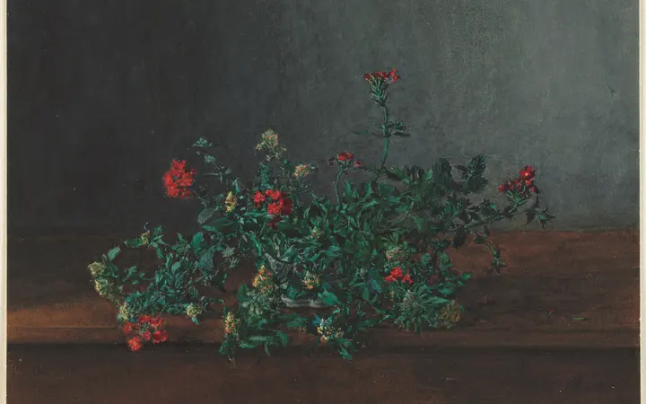Nježni prikaz divljeg cvijeća u akvarelu i guašu, u svijetlim i prirodnim bojama. watercolor and gouache — Léon Bonvin, 1864.