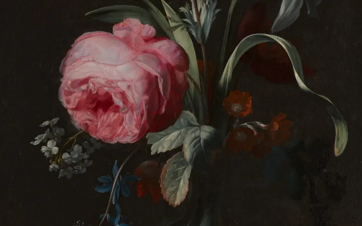 Jednostavna vaza s ružom, anemonom i drugim cvijećem, u ulju na drvetu s toplim bojama i skladom. oil on wood — Simon Verelst, 1669.