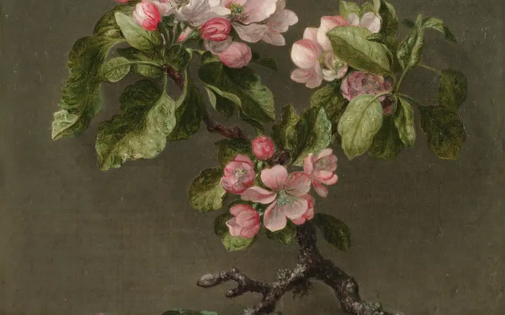 Grana jabuke s cvjetovima u nježnim ružičastim i bijelim tonovima, ulje na platnu s fokusom na detalje. oil on canvas — Martin Johnson Heade, 1873.