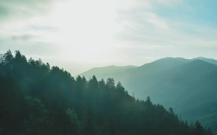 Šumska dolina između brežuljaka i planina pod oblacima u prirodnom krajoliku.