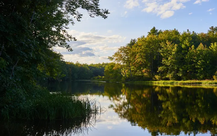 Mirno jezero okruženo šumom u jesenjim bojama pod oblačnim dnevnim nebom.