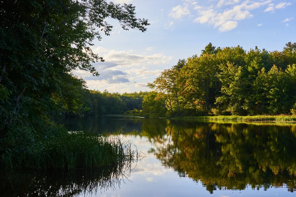Motiv zidne tapete Jezero s jesenskim odrazom