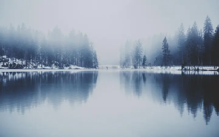 Šumski krajolik uz jezero prekriven maglom stvarajući tajanstvenu atmosferu.