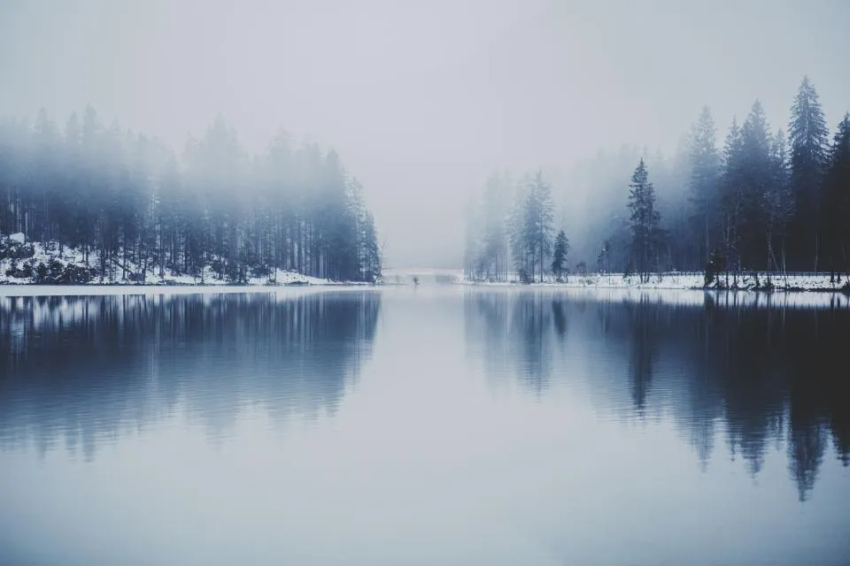 Motiv zidne tapete Jezero u maglovitoj šumi