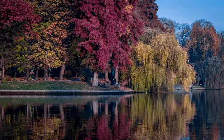 Šuma i trava u jesenjim plavim tonovima stvaraju miran i hladan ugođaj pod mekim svjetlom.