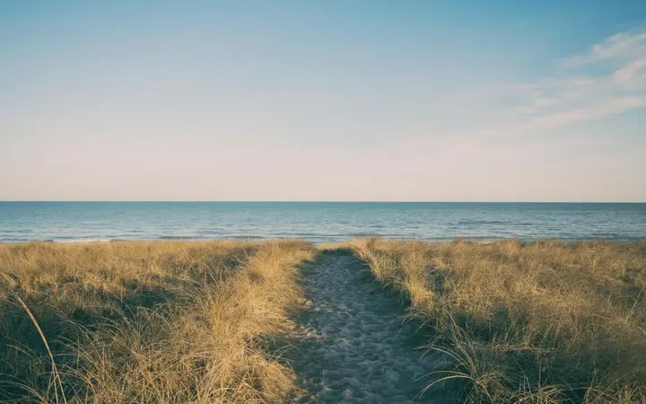 Pješčana obala s morskom travom u prvom planu i plavim oceanom na horizontu pod prirodnim svjetlom.