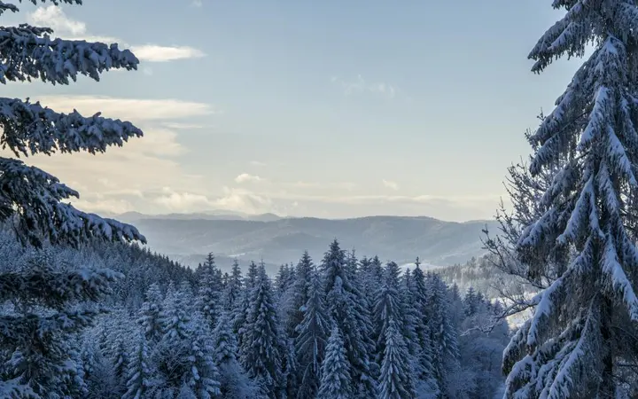 Plavo nebo i oblaci nad šumama i planinskim horizontom stvaraju prostrani pogled.
