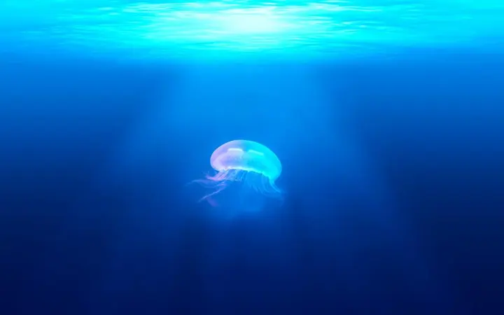 Plava voda s prozirnom meduzom koja pluta u dubinama oceana.