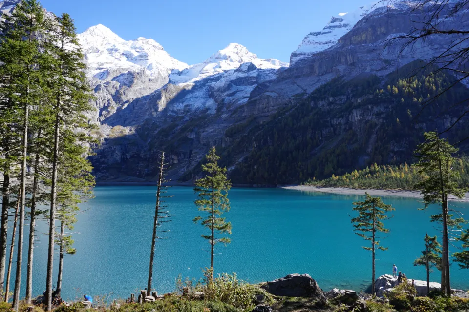 Motiv zidne tapete Planinsko jezero i šumska zelena