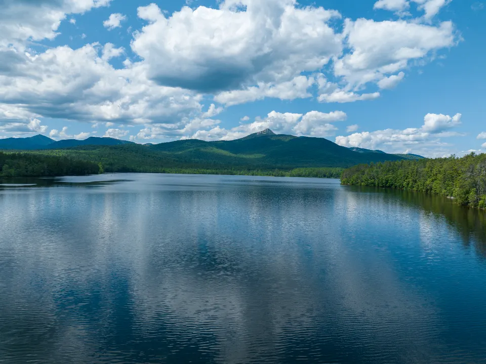Motiv zidne tapete Mirno plavo nebo nad šumom
