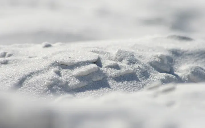 Detaljan prikaz svijetlog pijeska uz obalu u toplom prirodnom svjetlu.
