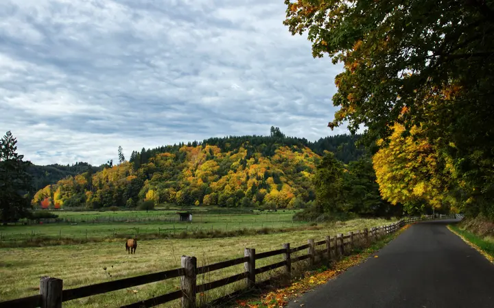 Polje s oblacima u jesenjem krajoliku s toplim bojama i mekani svjetlom koje naglašava prirodu.