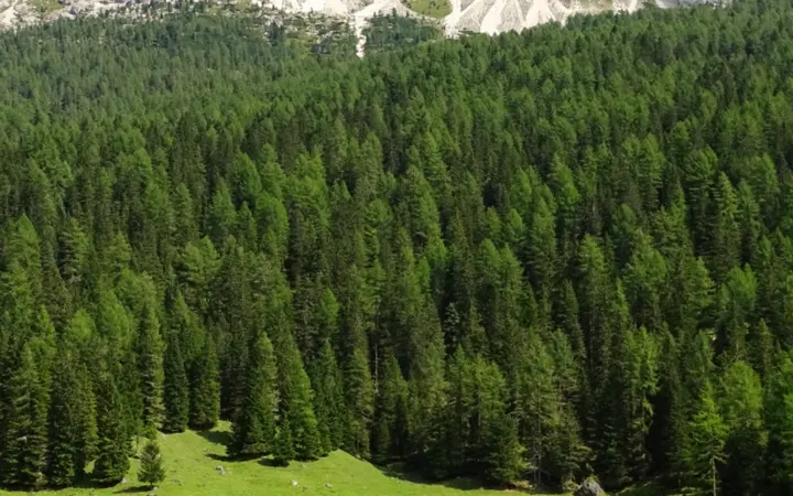 Plavo nebo s oblacima iznad farme i pašnjaka uz jarko dnevno svjetlo i čist zrak.