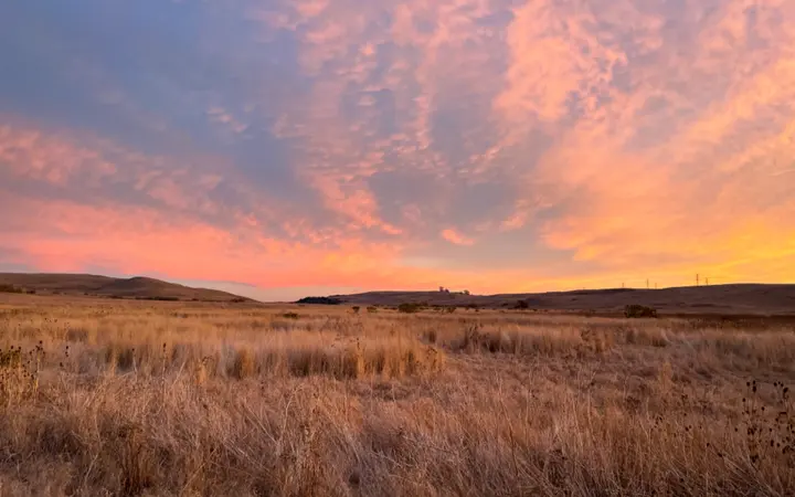 Zeleno polje trave s oblačnim nebom u pozadini u toplom svjetlu sumraka.
