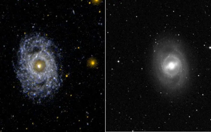 Ultraljubičasti i vizualni prikaz galaksije NGC 3351 s jasno vidljivim prstenom i šipkom u sredini.