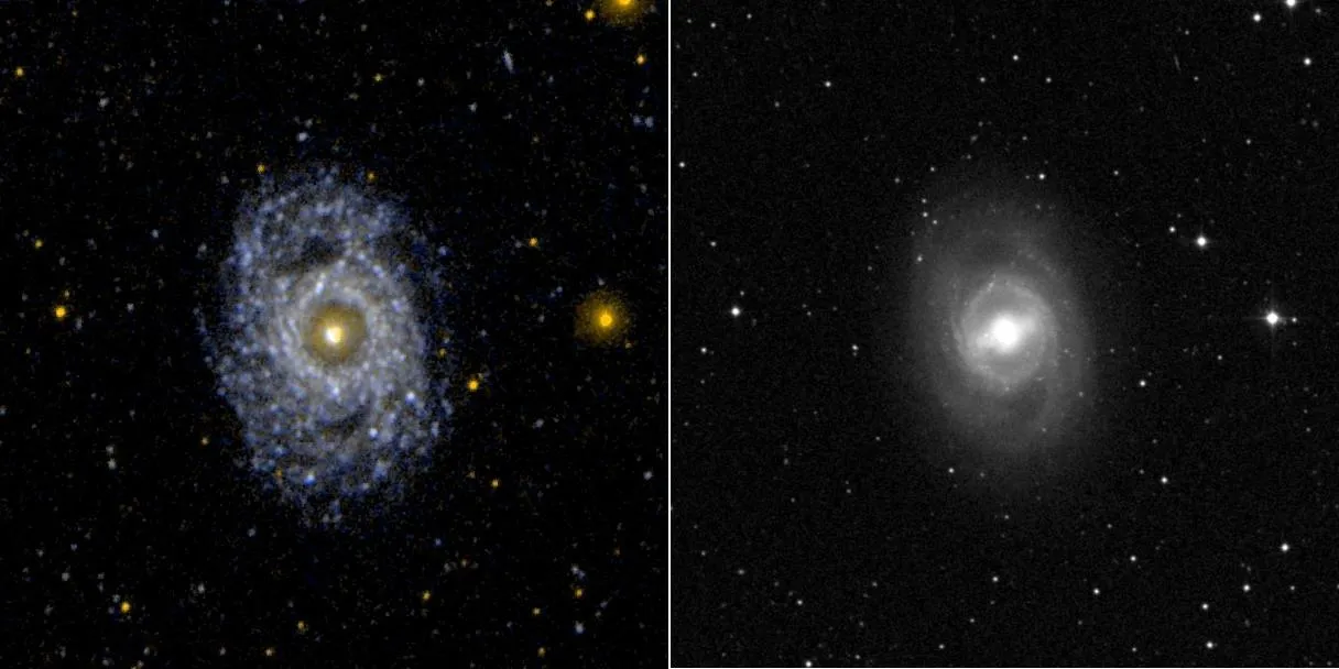 Motiv zidne tapete NGC 3351 s prstenom i šipkom