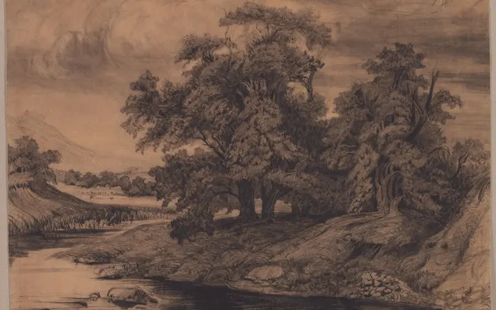 Crtež crnim ugljenom na smeđem papiru prikazuje prirodni krajolik s dominantnim velikim stablima Gustava Courbeta. black chalk with stumping on brown wove paper — Gustave Courbet, 1870.