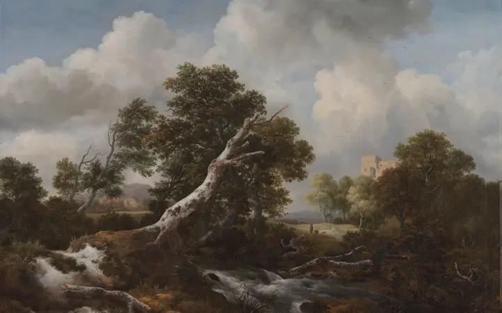 U prvom planu se ističe srebrni deblo mrtvog stabla uz nizak vodopad i sunčano polje u daljini. oil on canvas — Jacob van Ruisdael, 1660–70.
