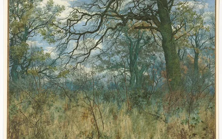 Detaljan akvarel s gouache tehnikom prikazuje gusto drveće i podgrmlje u prirodnom okruženju s nježnim nijansama zelene i smeđe. watercolor with gouache — Garden William Fraser, 1885.